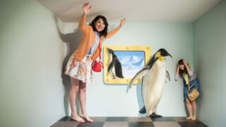 愛の迷宮-トンネル- BOX1,2セット 熱海トリックアート迷宮館 | 伊豆88遍路